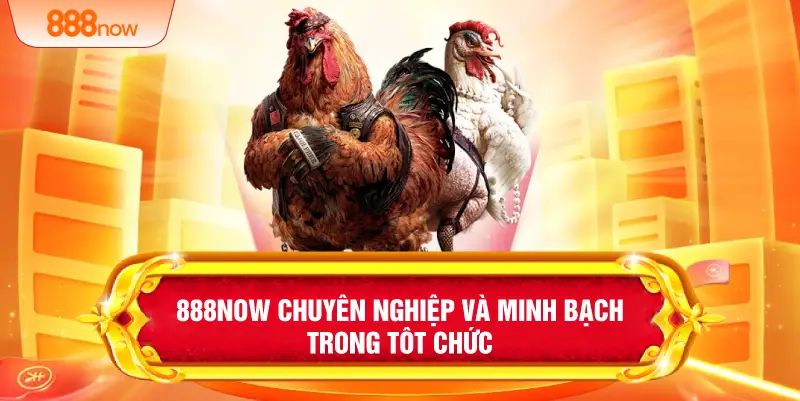 888NOW chuyên nghiệp và minh bạch trong tổ chức 